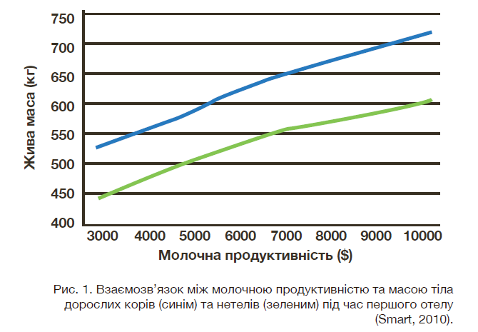 Rus 1