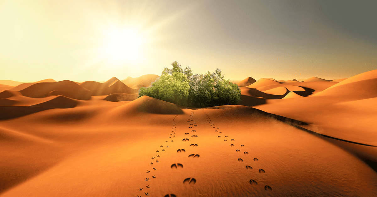 Тепловий стрес у сухостійних корів 1